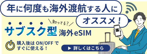 スカイベリーeSIM